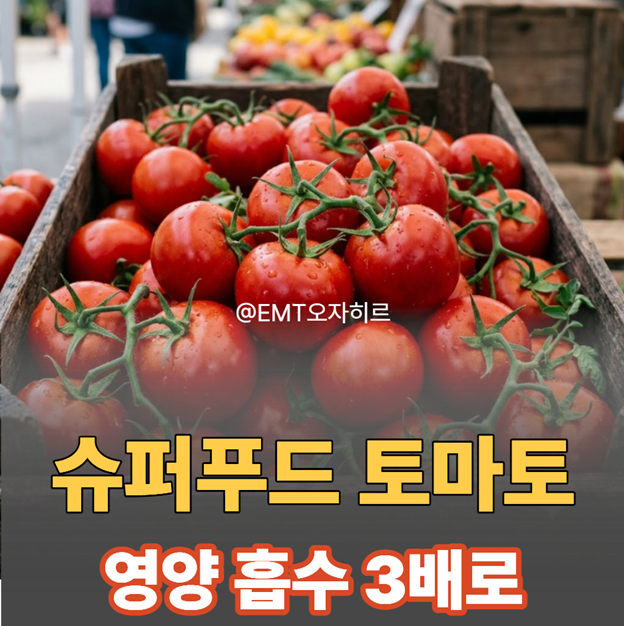 익혀 먹으면 효능 3배? 토마토의 영양, 올바른 보관법부터 초간단 요리까지!
