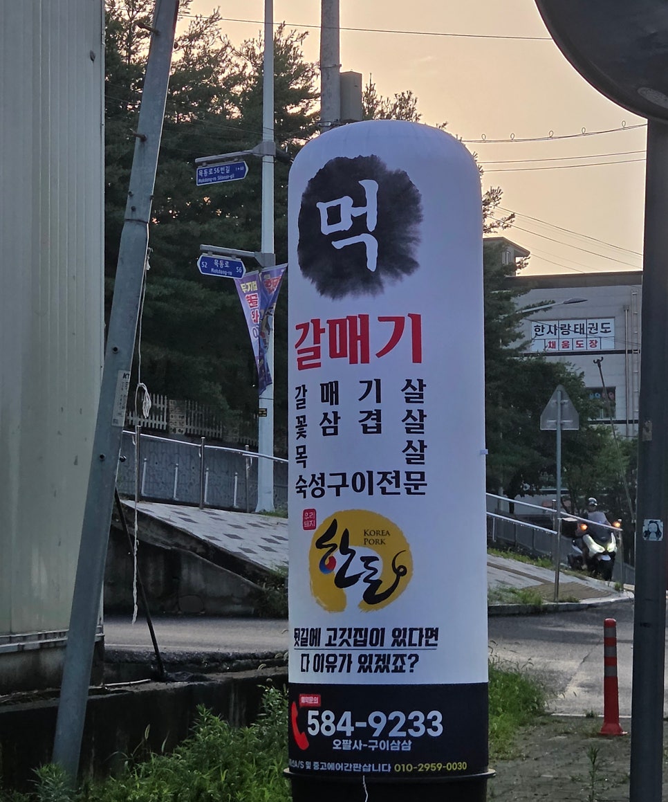 먹갈매기 사진 4