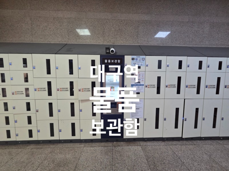 대구역 짐 보관 어디서!? 여행객이 가장 많이 찾는 대구역 물품보관함 위치, 가격
