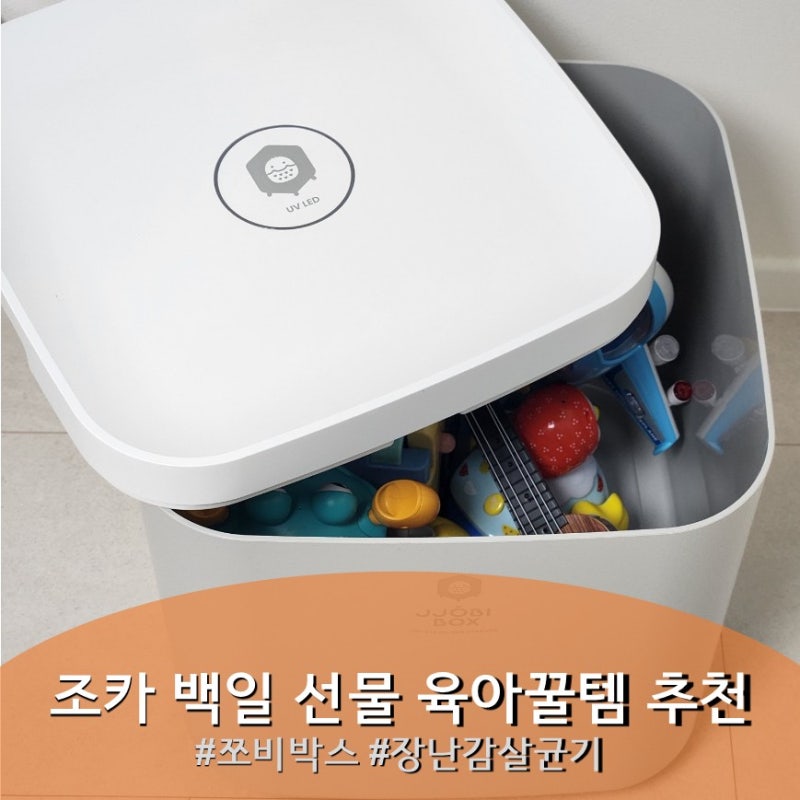 1년간 직접 사용해보고 남기는 쪼비박스 솔직 후기 아기돌선물 조카백일선물 추천, 쪼비박스....