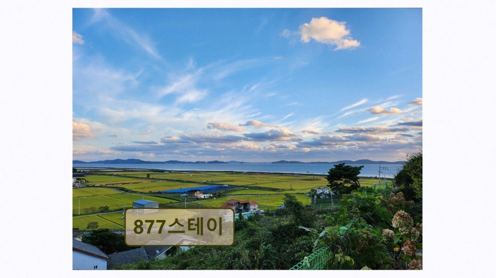 877스테이 사진 2