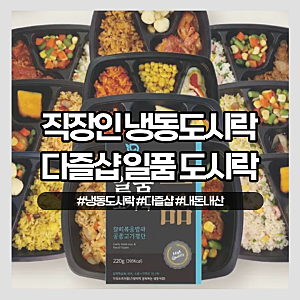 직장인 점심 냉동도시락, 다즐샵 일품도시락 10종 내돈내산 솔직 후기