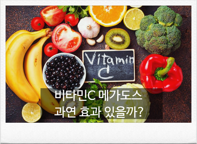 비타민C 3000mg 메가도스 요법의 진실, 항산화. 피로회복 효능과 부작용 차단 공식