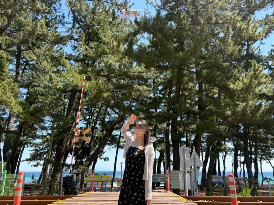 초당꼬마김밥 강릉점 사진 4