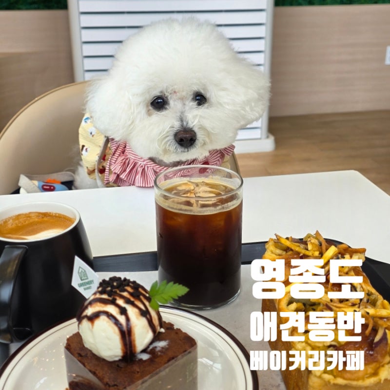 영종도 애견동반 카페 추천, 잔디정원까지 완벽한 그리너리바스켓