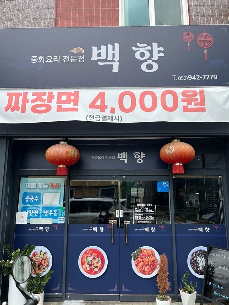 백향 사진 1