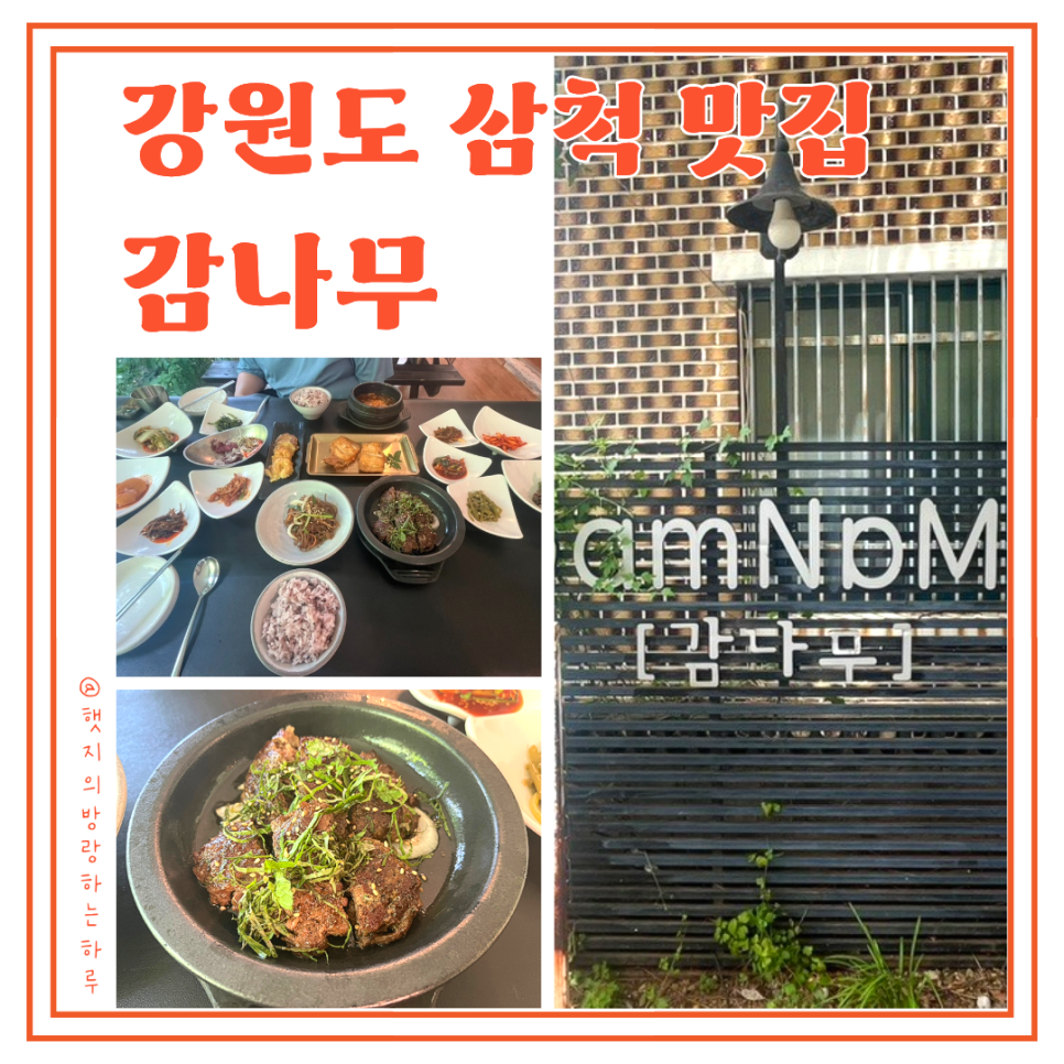 감나무 사진 1