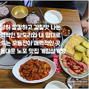 동대문 종로 맛집 계림삼계탕 - 칼칼 닭도리와 내맘대로 모듬전.