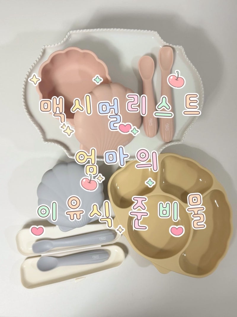 [이유식 준비] 맥시멀리스트 엄마의 이유식 준비물(리스트, 구매링크, 사용 후기)