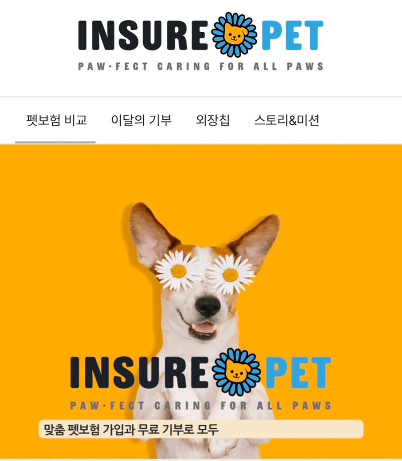 도베르만 펫보험 비교 선택 꿀팁 후기
