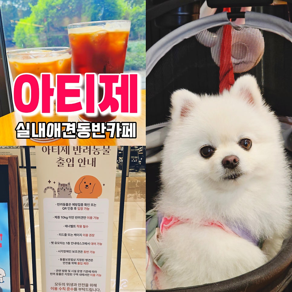 아티제 고양스타필드점 사진 1