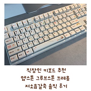 직장인 키보드 추천 | 엠스톤 그루브스톤 크레용 저소음갈축45g 내돈내산