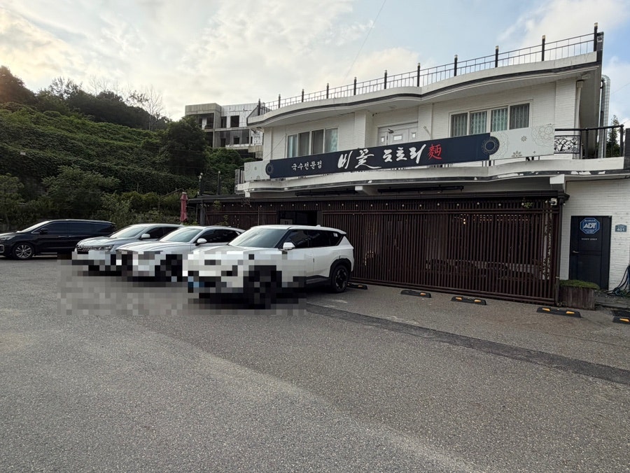 비꽃 도토리 사진 2