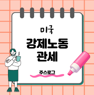 <b>강제노동 관세</b>' 본격 결정 임박…한국도 12.5% 추가 관세 예고