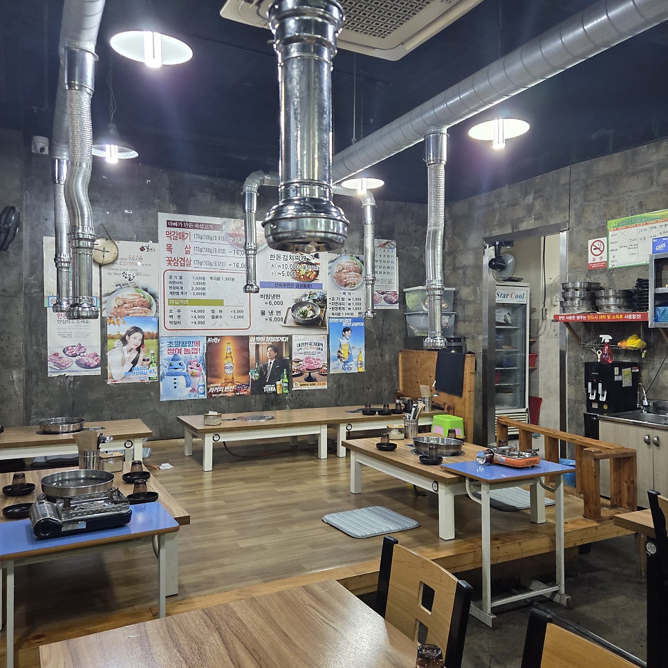 먹갈매기 사진 6