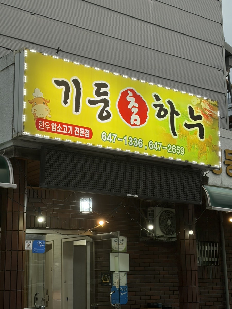 기둥참하누 사진 2