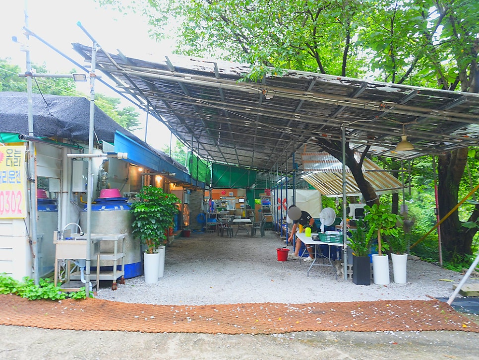 숲속산장 사진 2