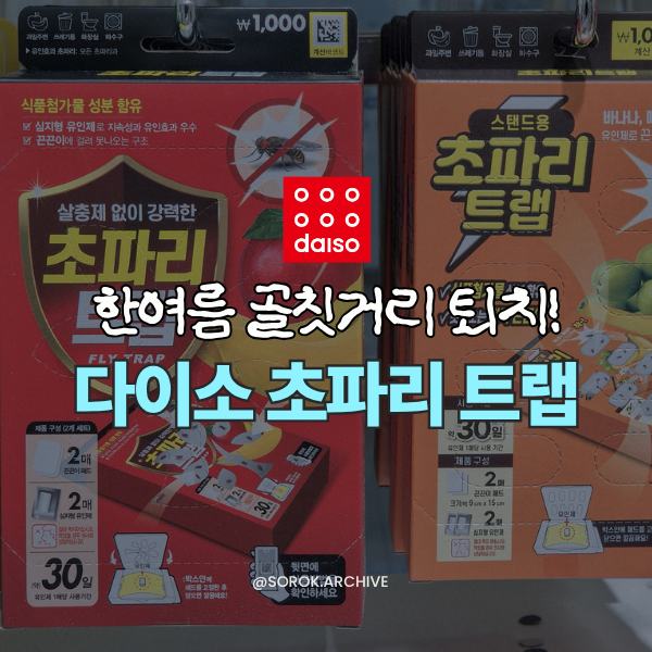 한여름 골칫거리 퇴치! 다이소 초파리 트랩 종류 총정리