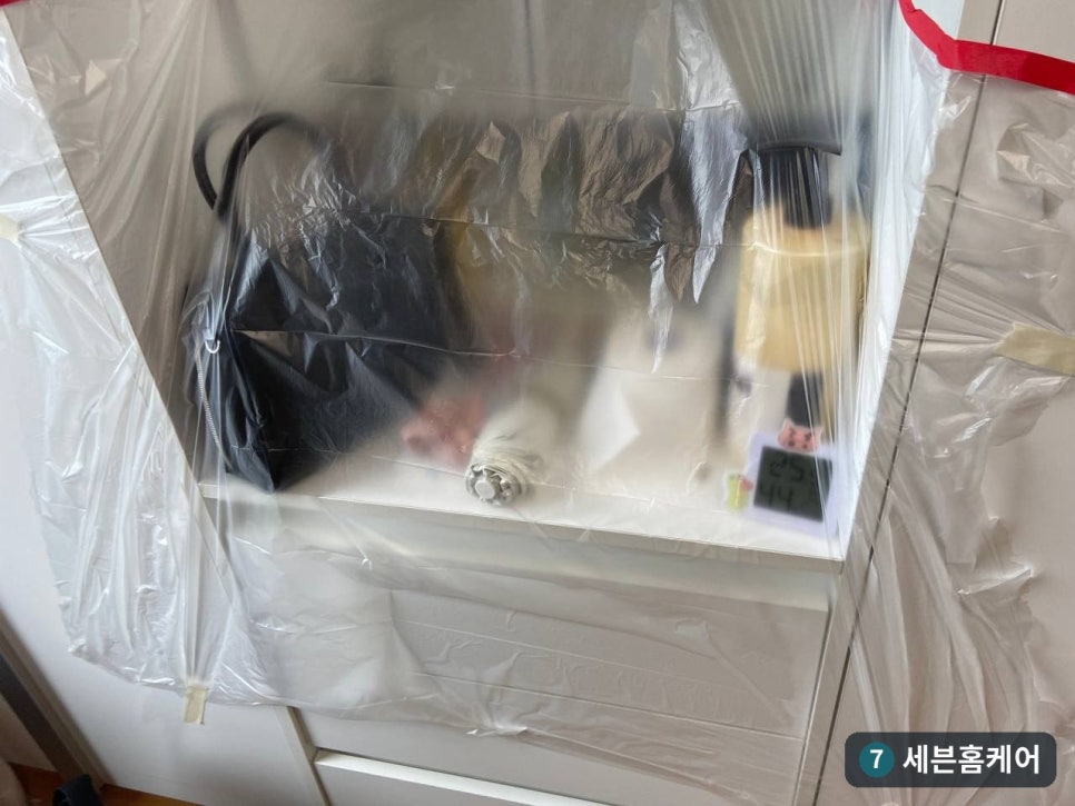 안양 강화마루 물먹음 부풀음, 손상부 제거 후 시트지 복원 사례