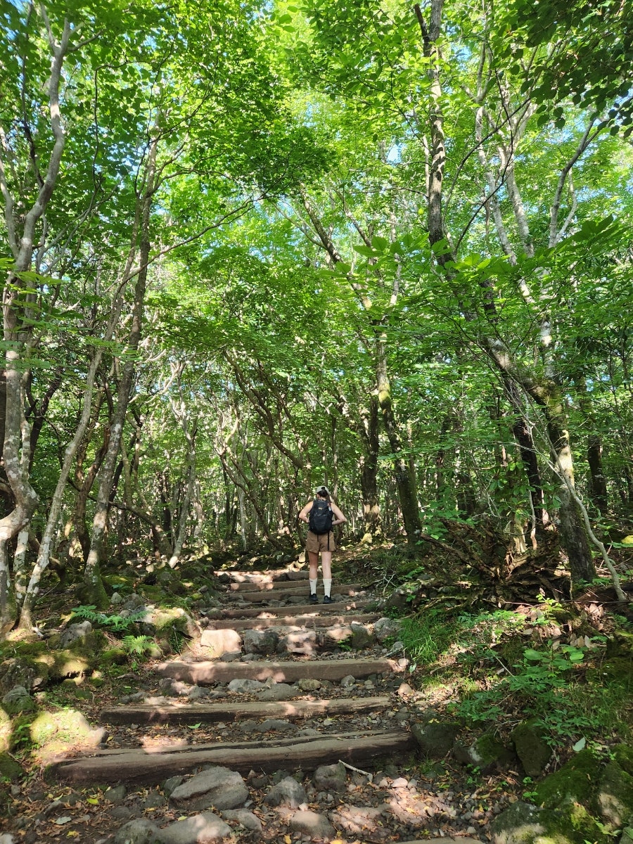 한라산사라오름산정호수 사진 2