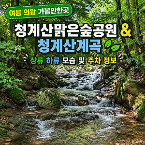 여름 의왕 가볼만한곳 청계산맑은숲공원 및 청계산계곡 상류 하류 주차 정보