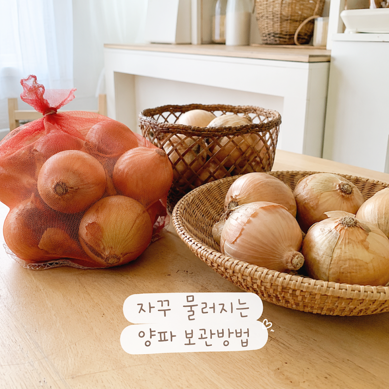 자꾸 물러지는 양파 보관방법 알고 보니 망이 문제였어요
