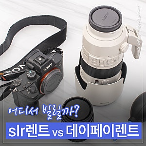 카메라·렌즈 대여 가격 비교｜SLR렌트 vs 데이페이렌트 기준