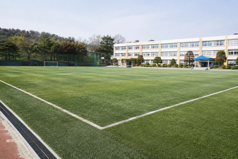 학교 운동장 인조잔디 청소 주기, 방학 중 확인해야 할 관리 항목
