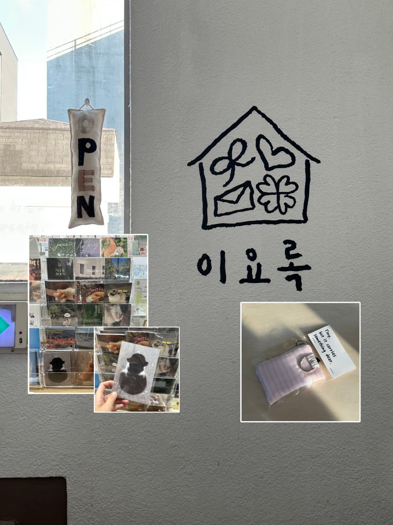 대전 이요록 | 은행동 선화동 귀여운 소품샵 | 꿈돌이 굿즈