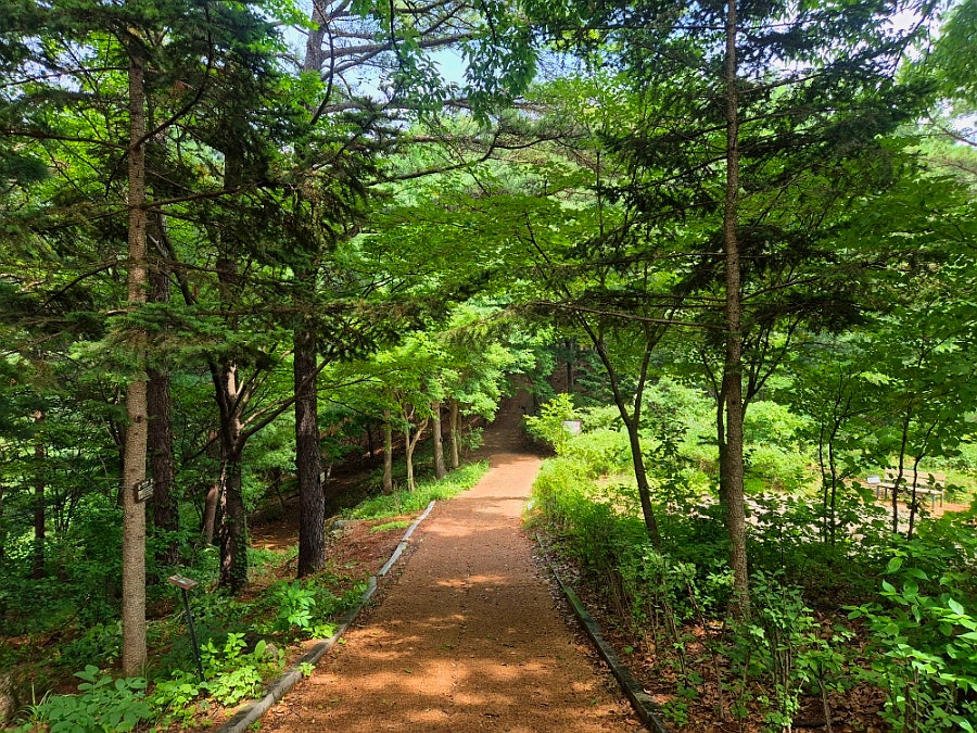 심항산 사진 5