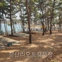 청산리오토캠핑장 사진 5