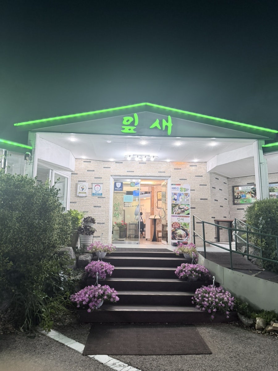 잎새 사진 1