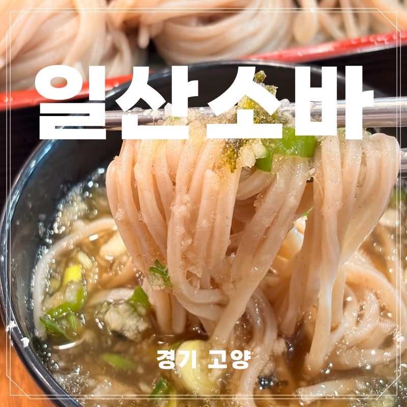 킨텍스 맛집 일산소바 시원한 판모밀과 돈까스 내돈내산