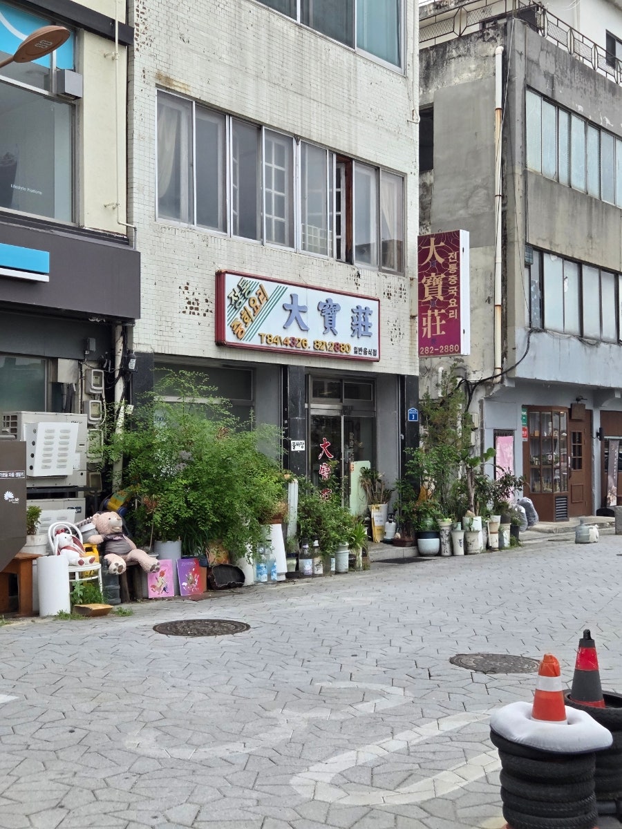 대보장 사진 3