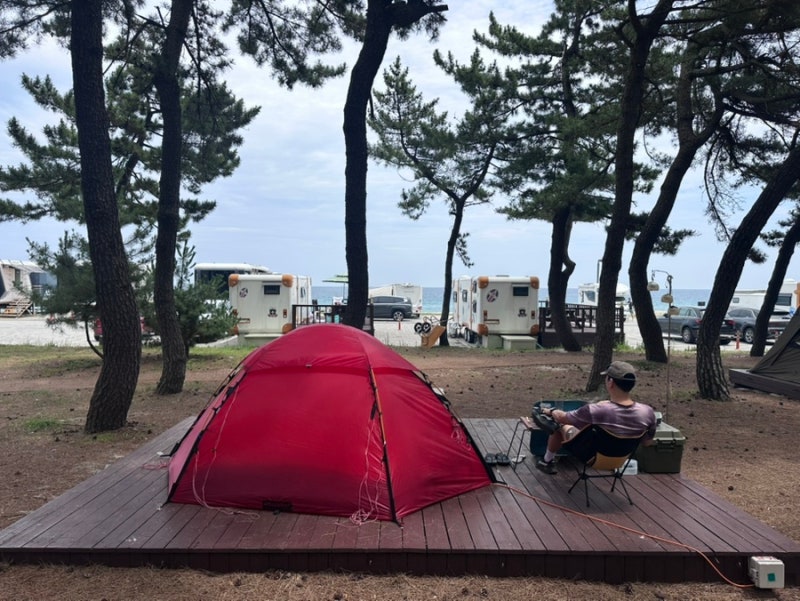 강릉 연곡해변 솔향기캠핑장 B240