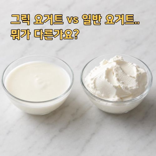 그릭요거트 vs 일반 요거트 차이점 총정리 (칼로리·단백질·유산균 비교)