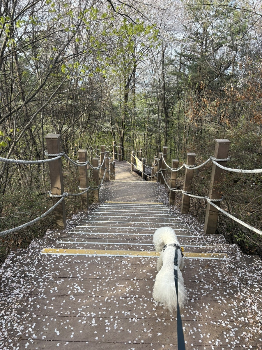 부락산주막 사진 3