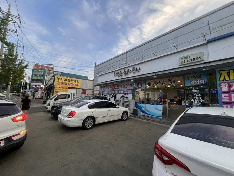 청춘회물회 사진 1