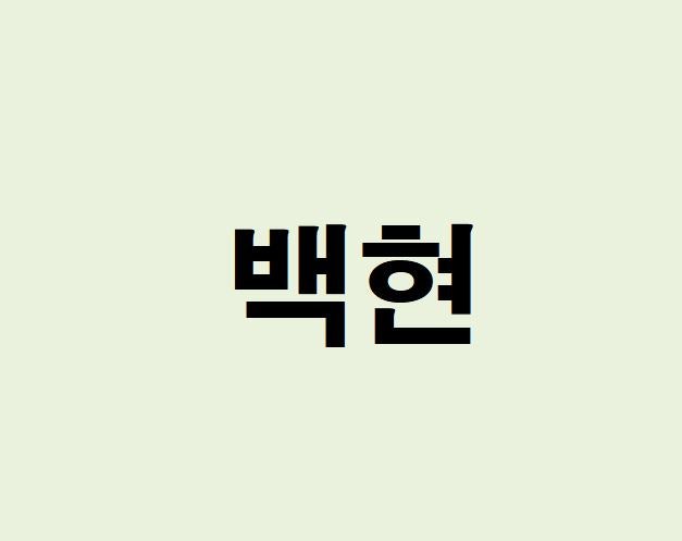 백현(EXO) 프로필, 사주 분석 및 풀이(운세, 근황, 인스타, MBTI)