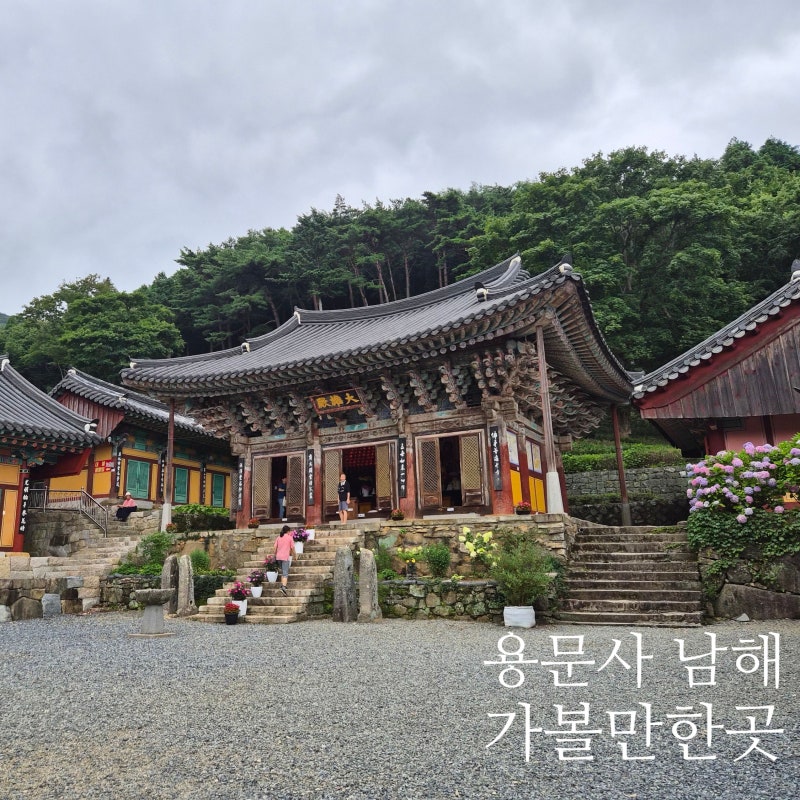 남해 가볼만한곳 경남사찰 수국이 예쁜 용문사