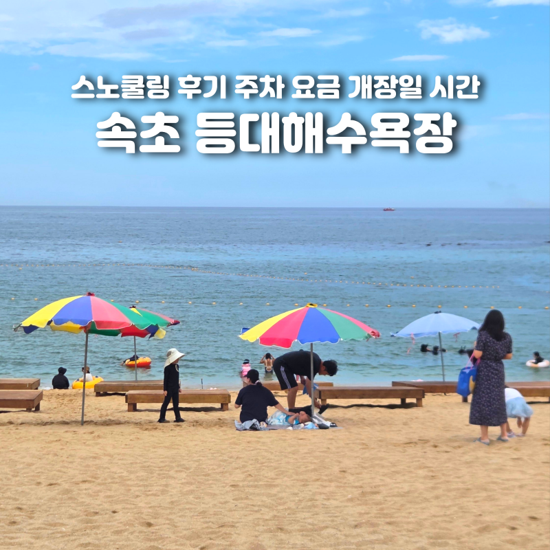 속초 등대해수욕장 스노쿨링 후기 주차 요금 개장일 시간 총정리