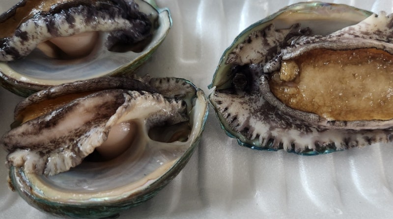 해신탕이 된 닭백숙?_특급 레시피