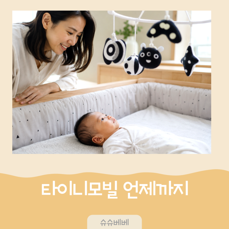 국민 타이니모빌 신생아 흑백 컬러 교체 시기와 사용 기간