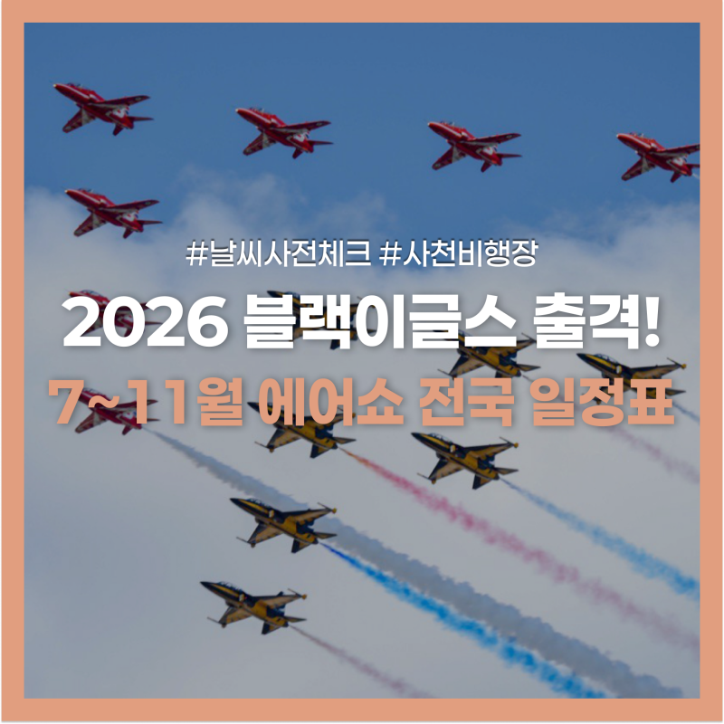 2026 블랙이글스 에어쇼 일정 관람 꿀팁 3가지, 아이와 가볼만한 곳