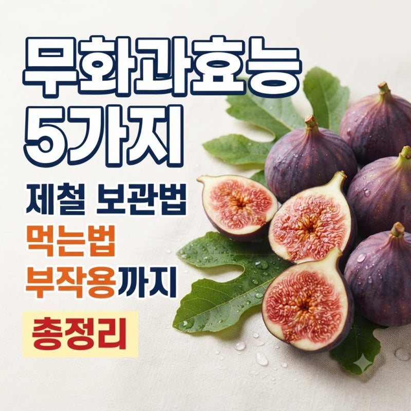 무화과효능 5가지 제철 보관법 먹는법 부작용까지 총정리