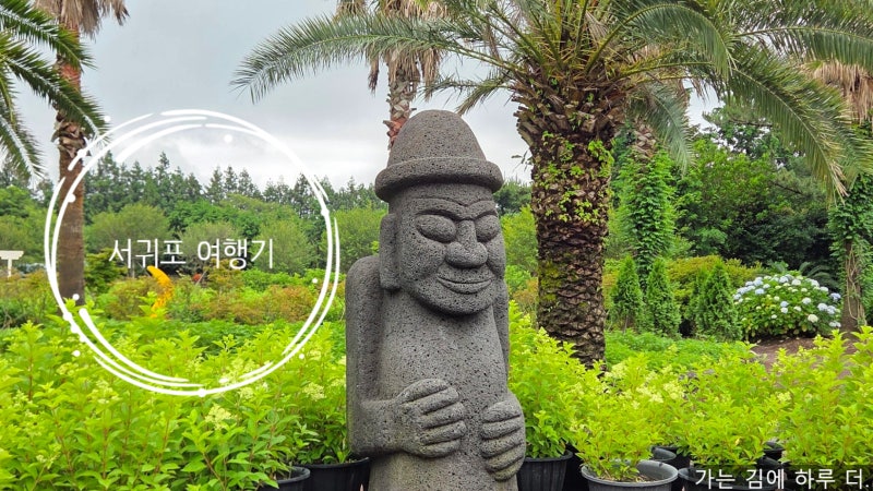 제주 서귀포 가볼 만한 곳 휴애리 자연생활공원 수국 명소