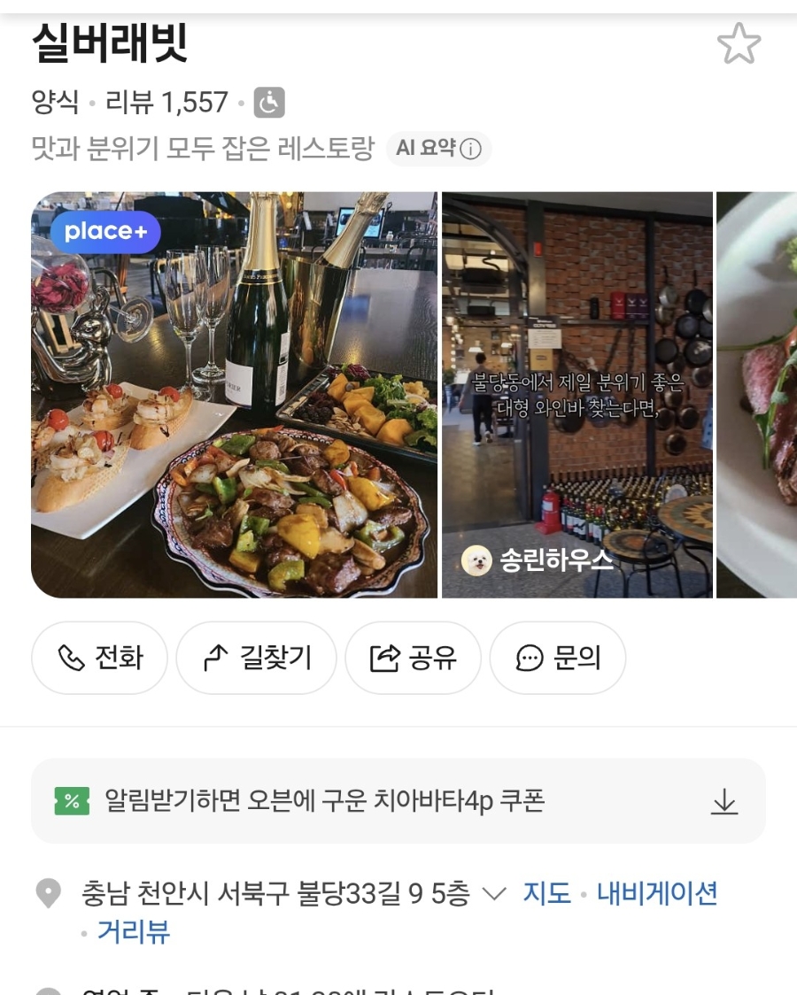 실버래빗 사진 2