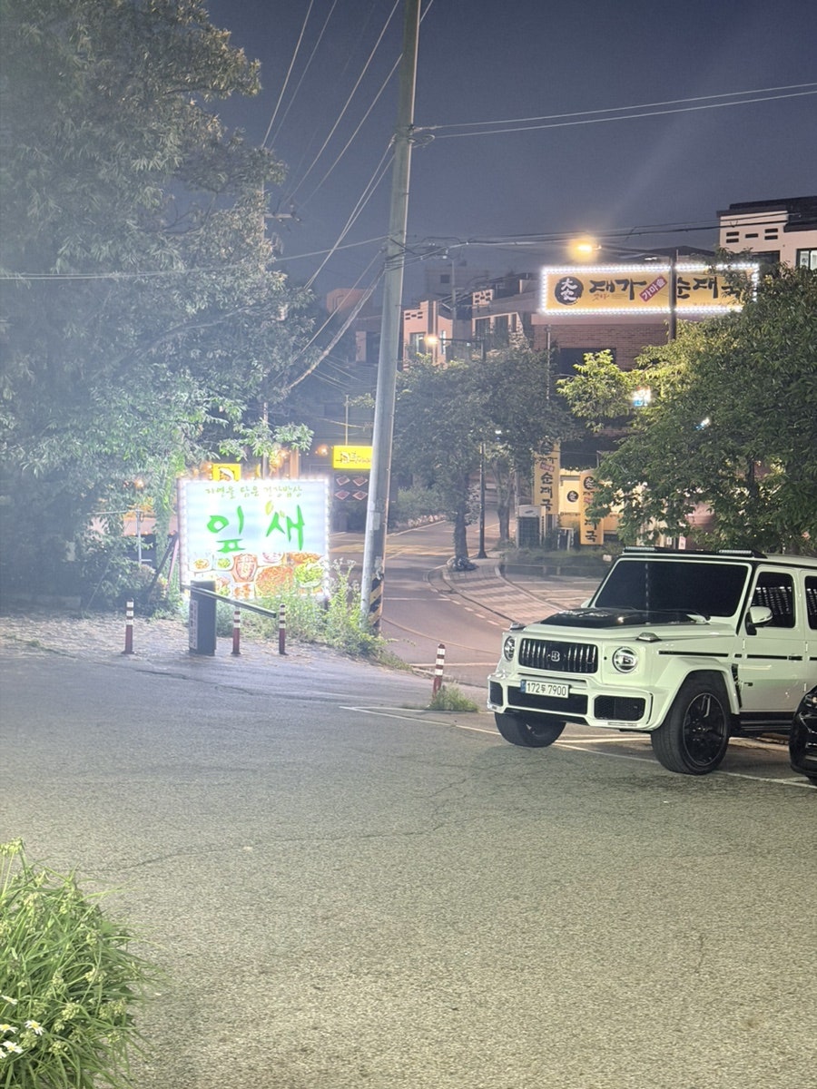 잎새 사진 3