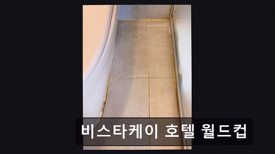 비스타케이호텔 월드컵 사진 2