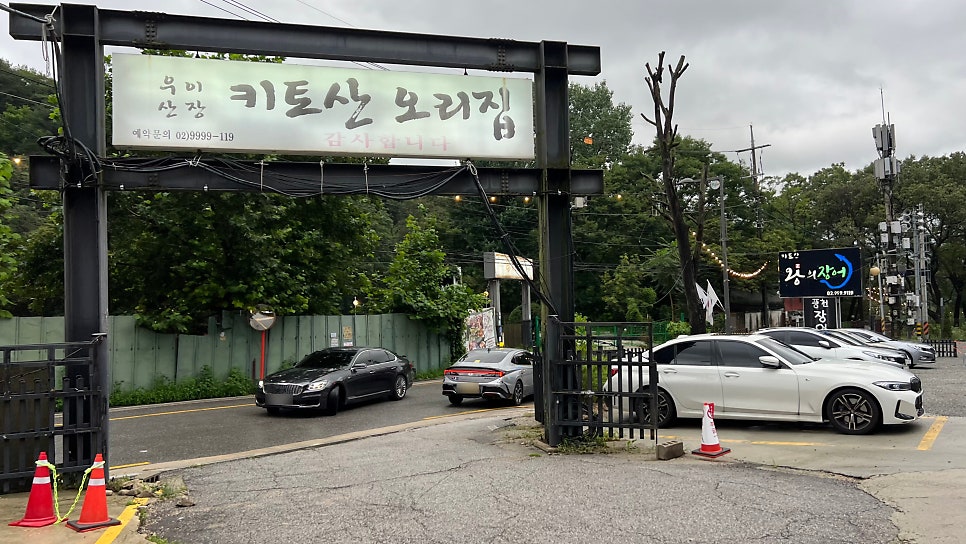 왕의장어 사진 2